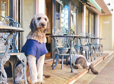 何でも相談できる店長や
丁寧に教えてくれるリーダー♪
スタッフの意見を取り入れてるので
働きやすさバッチリです☆