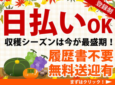 日払いOK！
「今月はお金がピンチ…」そんなあなたもご安心ください♪
色んなお仕事をご紹介中♪