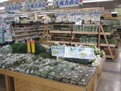 A・コープ　コアしおだ店 畑とつながる食品スーパー「長野県A・コープ」
"長野県産""地元産"にこだわった採れたての生鮮食品を扱っています♪