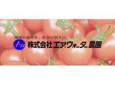 株式会社エア・ウォーター農園　安曇野菜園 ＼男女スタッフ活躍中／
トマトの社内販売でオトクに購入することも◎