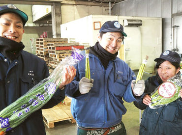 茨城県大同青果株式会社 お野菜を仕分けして運んだりするだけ！
カンタンでシンプルなお仕事です♪