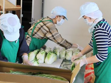 ≪ 和やかな雰囲気の作業風景 ≫
未経験者や初パート、ブランクありでも簡単♪
「コミュニケーションが苦手」でも大丈夫♪