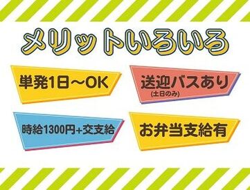 ＼アナタの都合でシフトIN★／
金土日祝のみの開催だから
授業/サークル/プライベートとの両立も◎
スキマ時間でお小遣い稼ぎ♪