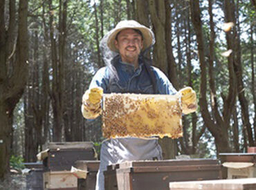 ミツバチによって蓄えられた香り豊かなはちみつを
丁寧に瓶に詰めてお届け――
朝食やティータイムなどでお楽しみいただけます♪