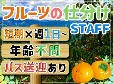 株式会社シスネフーズ ★9～12月までの期間限定のレアバイト★
お仕事はカンタンなのに
未経験でも時給1200円スタート！
効率よく稼ぎましょう～♪♪