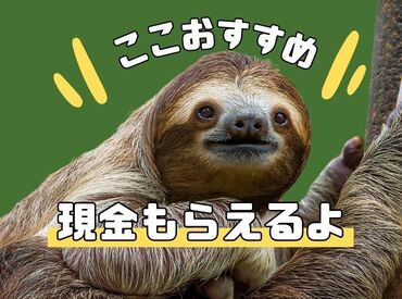 テイケイワークス東京　柏支店/TWT144 そんなピンチな時に嬉しい！日払いOK★
年齢不問！未経験でもカンタンなお仕事♪