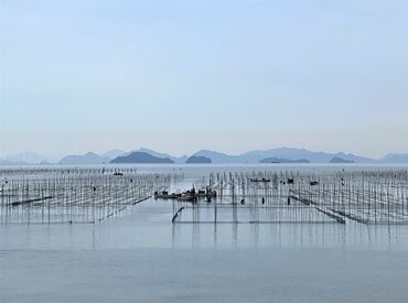 ≪海苔の持ち帰りOK≫
寮あり／朝・昼の食事付き◎
長靴など、業務に必要なものは支給するので、
身一つで来ていただけます！！