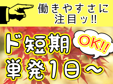 ＜高日給＞＜全額日払い（手渡しor振込み）＞ etc…
何かとお金がかかる季節もガッツリ稼ごう♪
好条件揃ってます★